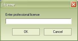 Professional License