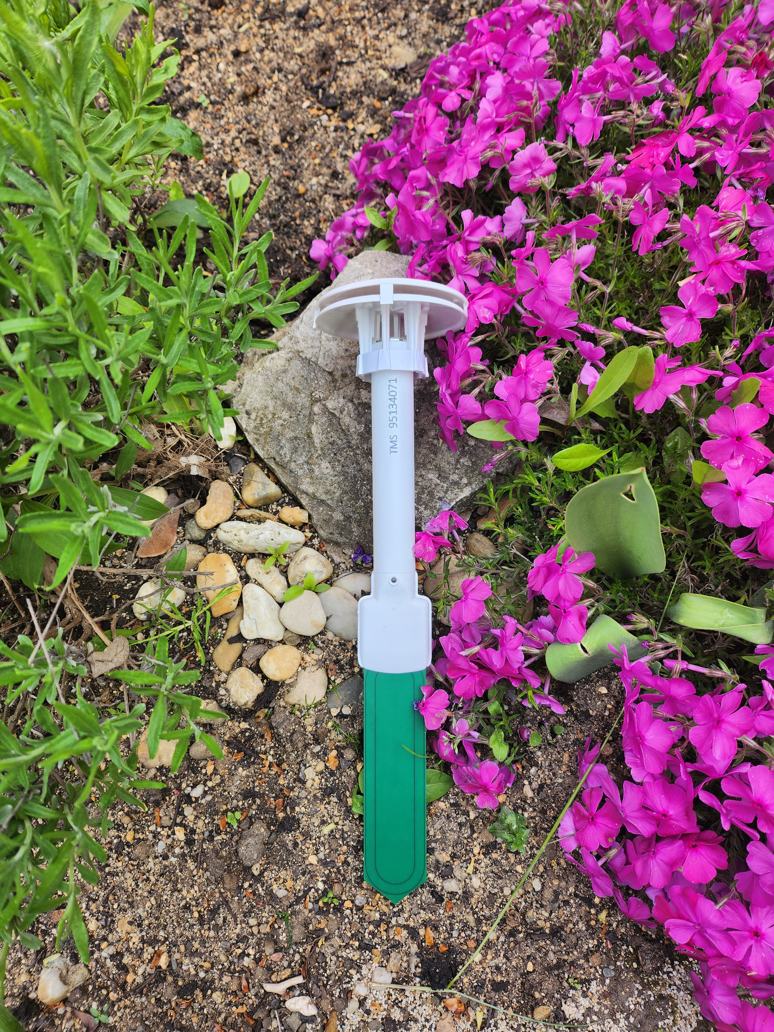 TMS Standard in hand